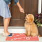 Woman holding a baked dog treat in front of puppy.