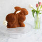Baked Bunny Cake on cake stand next to vase of Tulips