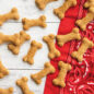 Baked dog treats in bone shapes on surface and red bandana
